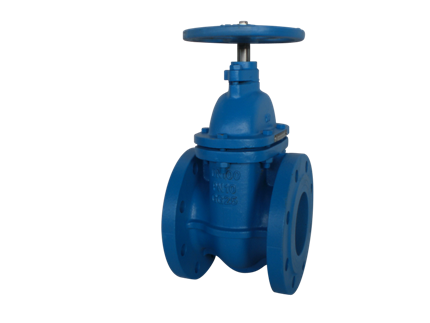 Valvotubi fig6 cast iron gate valve