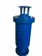 Valvotubi air release valve for sewage